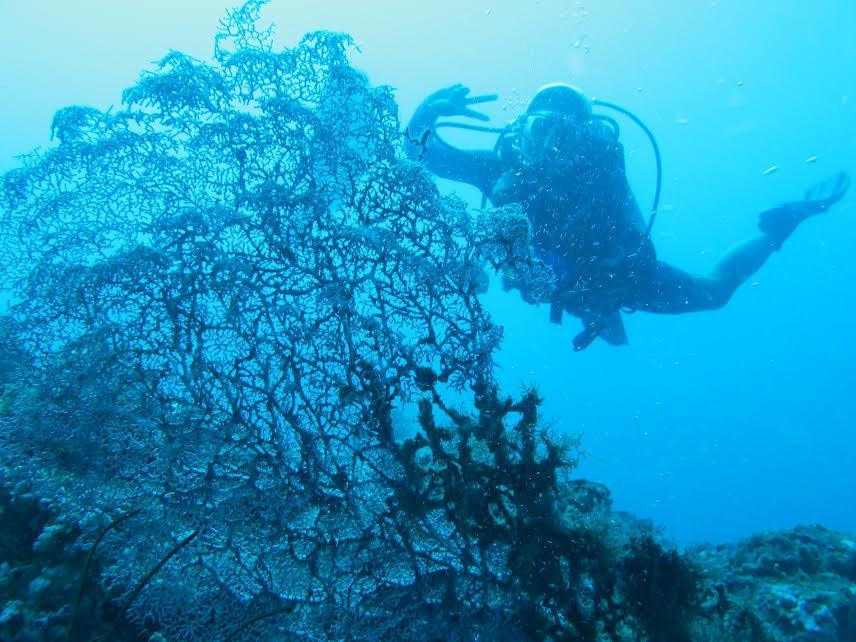 Hotel Anilao Scuba Dive Center Batangas Exteriér fotografie