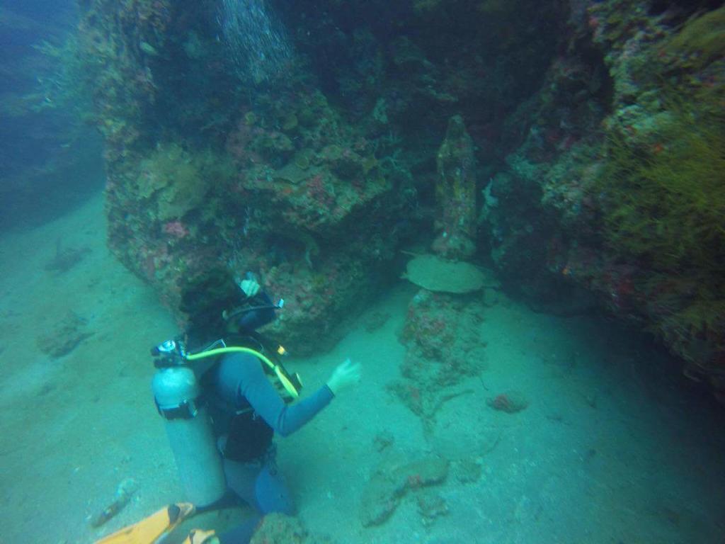 Hotel Anilao Scuba Dive Center Batangas Exteriér fotografie